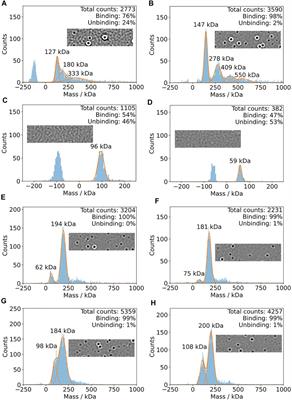 Biophysical Screening Pipeline for Cryo-EM Grid Preparation of Membrane Proteins